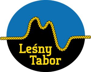 logo lt